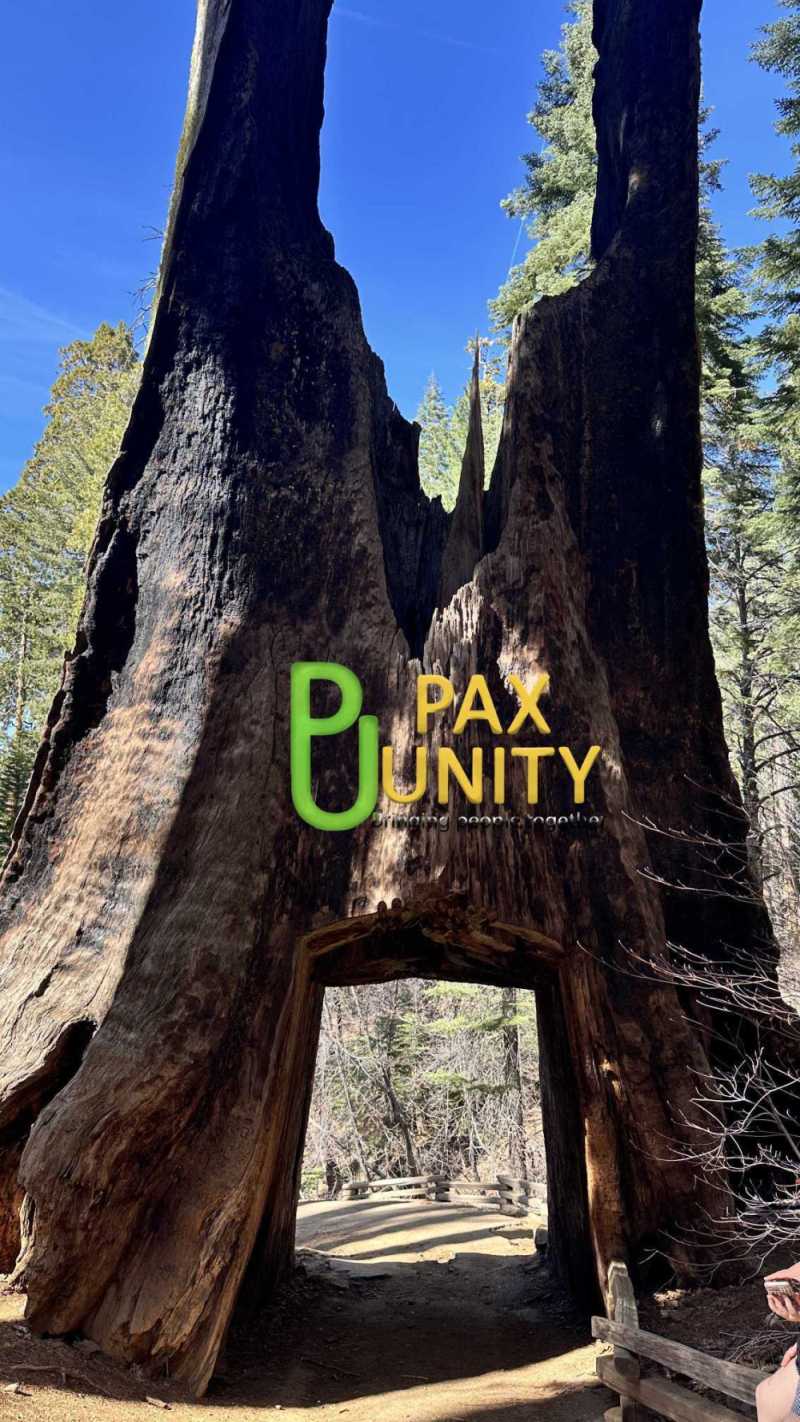 Support PaxUnity